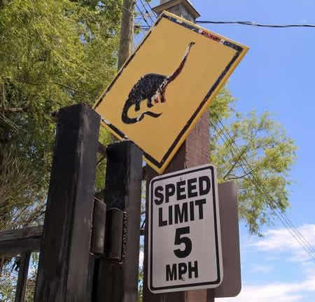 texas-humour-affiches,pancartes-images-attention-dinosaures