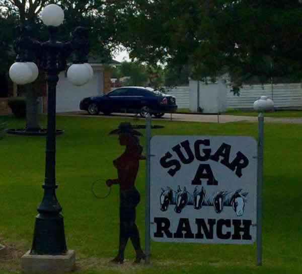 texas-humour-affiches,pancartes-images-no-comment