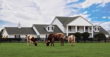 southfork-ranch-serie-dallas-une