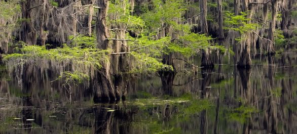 Les plus beaux lacs du Texas