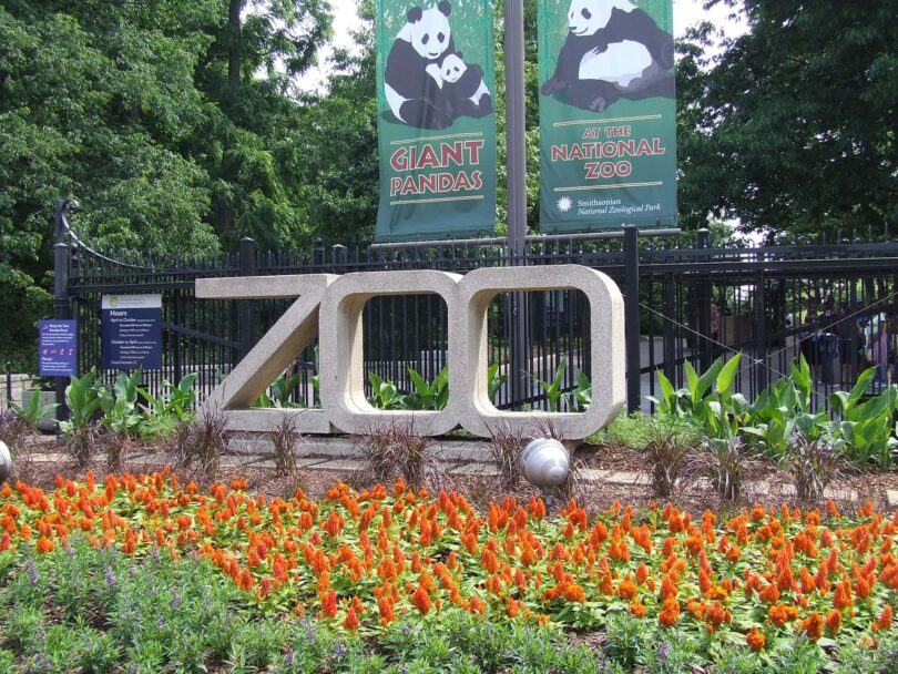Les 10 incontournables de D.C. - Washington DC