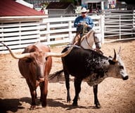 Le Texas et son Histoire