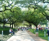 Discovery Green à Houston