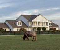 Visiter Southfork, le ranch de la série Dallas