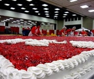 Vous allez la ramener ?