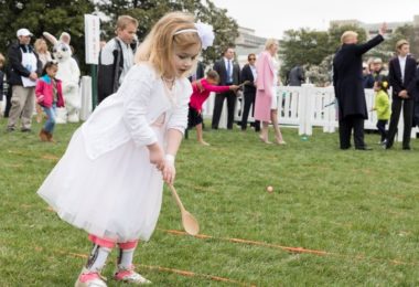 Les œufs de la Maison Blanche