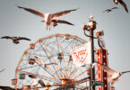 Meilleurs-Parcs-Attraction-New-York-City-French-District