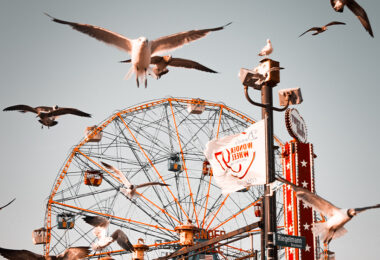 Meilleurs-Parcs-Attraction-New-York-City-French-District