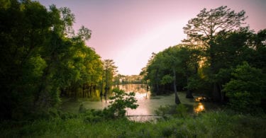 bayou-louisianne-mississippi-marecages-alligators-plantations-une