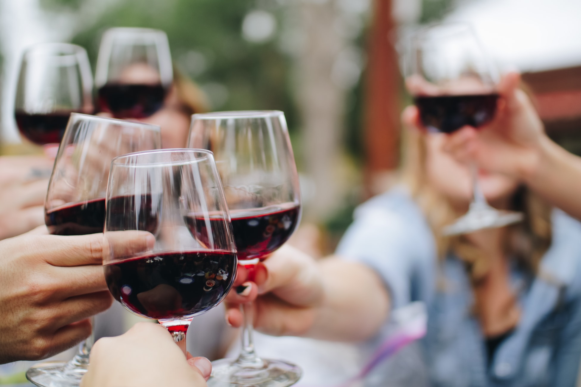 洋書 Le guide des meilleurs VINS de France 25 Amazon.fr - Le Guide des meilleurs vins de France 2025