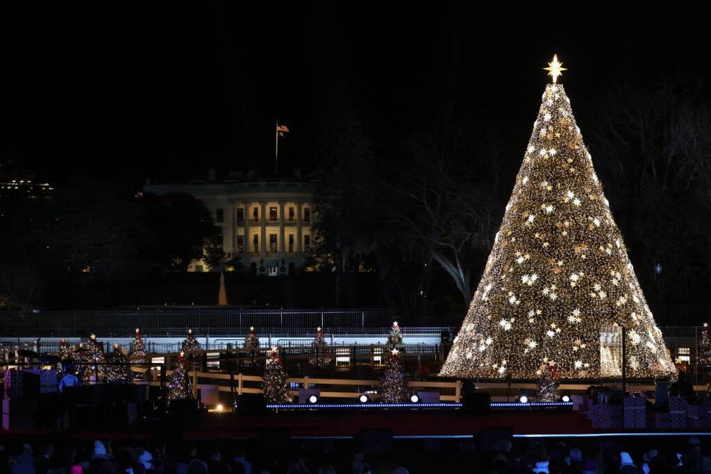 Grand sapin de Noël illuminé en blanc et or la nuit, entouré de petits sapins décorés, avec la Maison Blanche éclairée en arrière-plan et un public de dos au premier plan