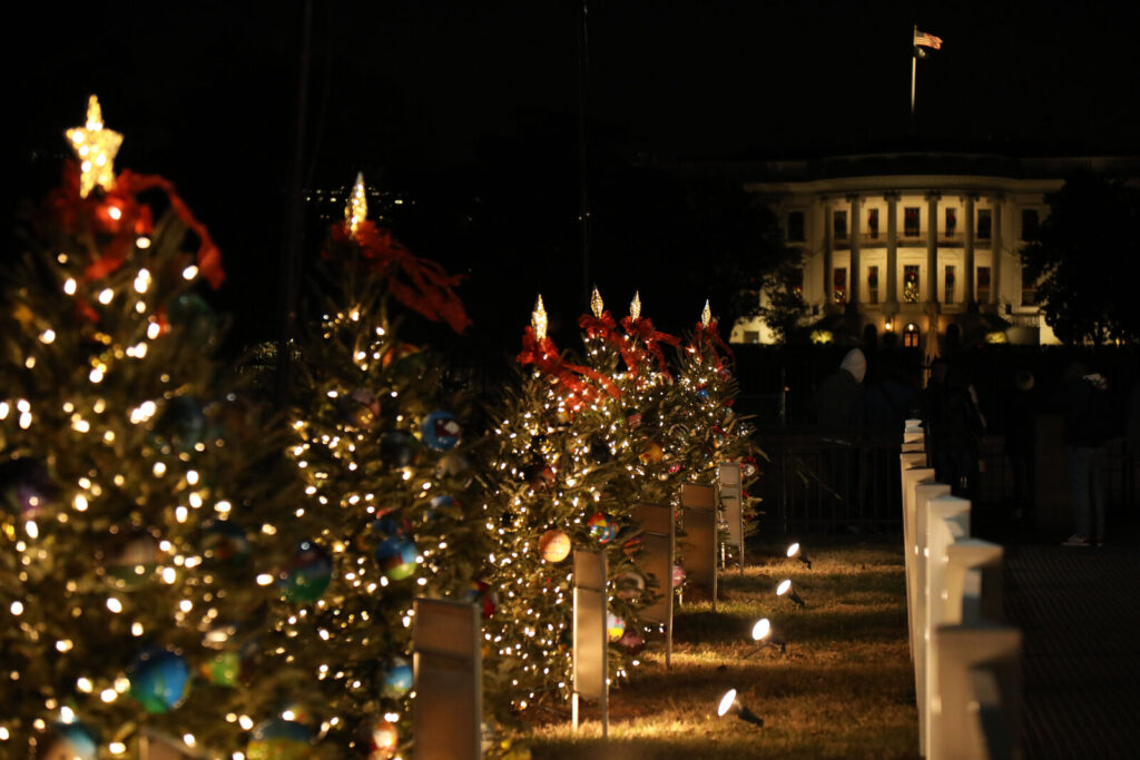 Allée de petits sapins de Noël décorés de boules peintes et de rubans rouges, la nuit, avec la Maison Blanche éclairée en arrière-plan