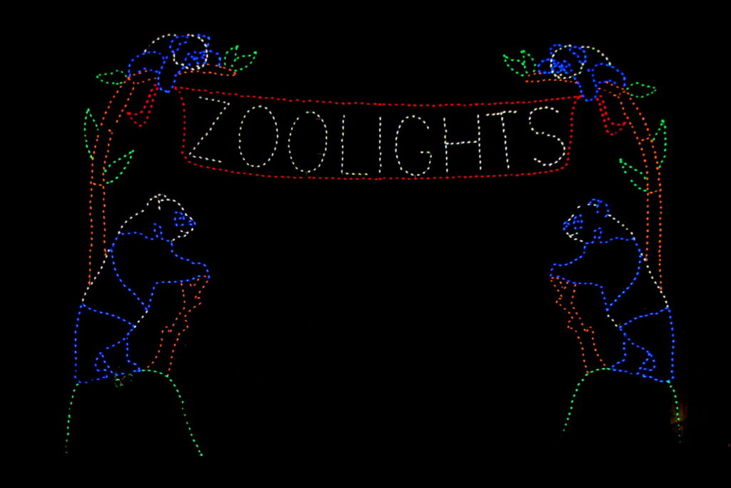 Enseigne de Noël en ampoules lumineuses sur fond noir : le mot « ZooLights » sur une banderole rouge, entouré de pandas dessinés en lumières bleues et blanches