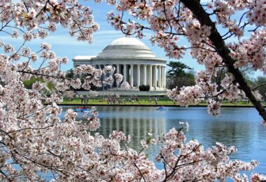 cherry-blossom-washington-dc-tidal-basin