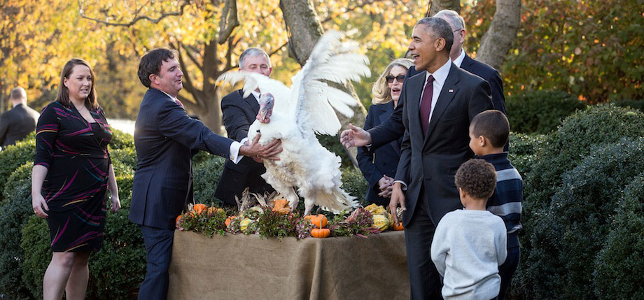 feter-thanksgiving-etats-unis-tradition-dinde-farcie-article