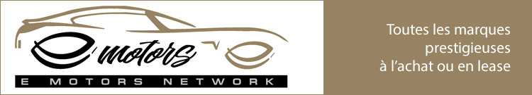 E-MOTORS NETWORK INC – Automobile