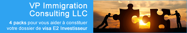 VP Consulting Immigration LLC