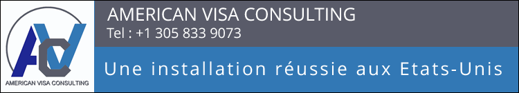 American Visa Consulting