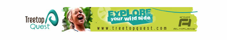 Treetop Quest