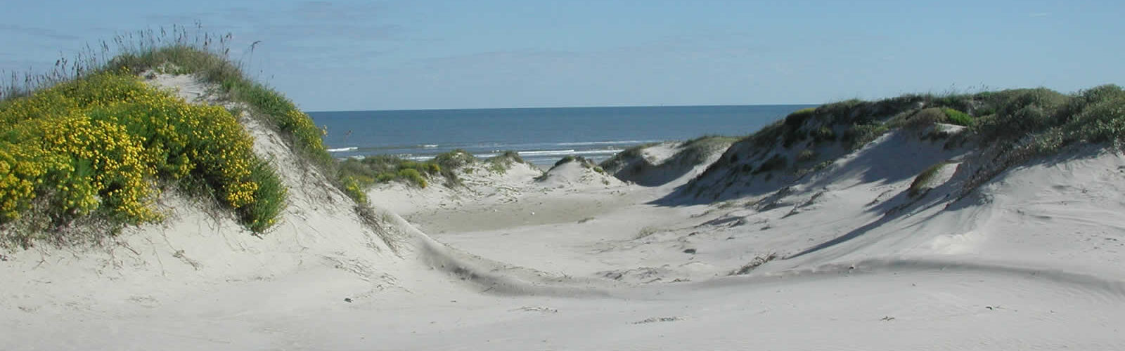 visiter-south-padre-island-vacances-peche-plage-tortues-une