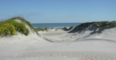 visiter-south-padre-island-vacances-peche-plage-tortues-une