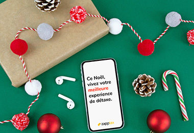 Retour en France à Noël ? Oui, mais pas sans ZappTax !