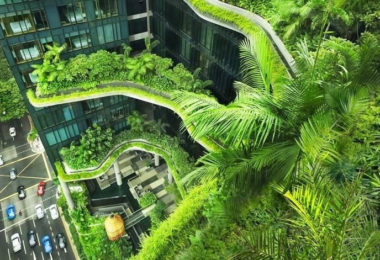 docteur-edderai-biophilie-push