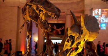musee-histoire-naturelle-los-angeles-culture-sortie-weekend-visite-une