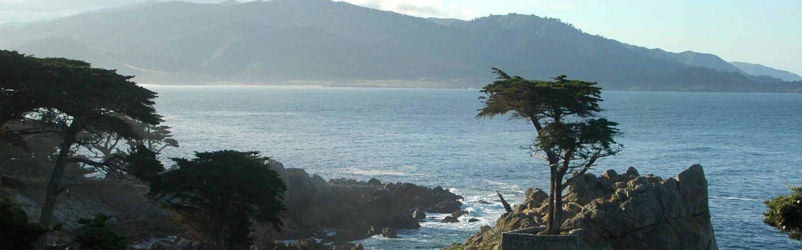 journee-randonees-panorama-baleines-touriste-monterey-featured