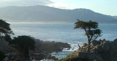 journee-randonees-panorama-baleines-touriste-monterey-featured