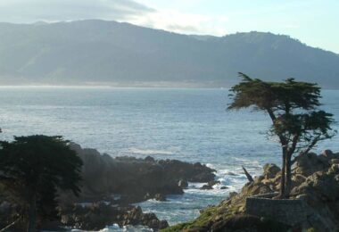 journee-randonees-panorama-baleines-touriste-monterey-featured