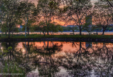 profiter-de-charles-river-une