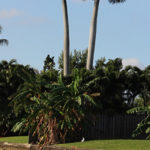 olivier-turina-atlantic-properties-agent-immobilier-belge-francais-miami-201 (6)olivier-turina-atlantic-properties-agent-immobilier-belge-francais-miami-201 (6)