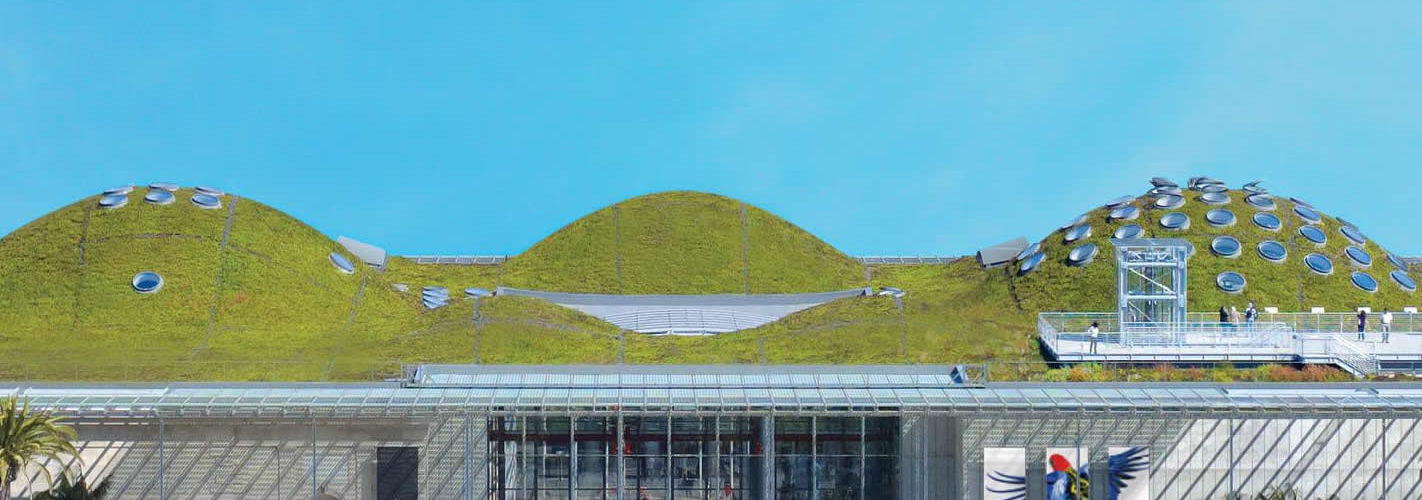 california-academy-sciences-visite-san-francisco-une