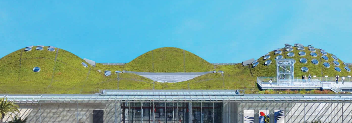california-academy-sciences-visite-san-francisco-une