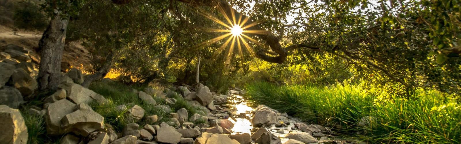 visiter-decouvrir-the-elfin-forest-san-diego-une