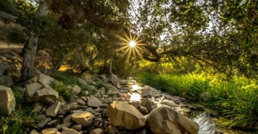 visiter-decouvrir-the-elfin-forest-san-diego-une