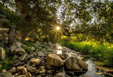 The Elfin Forest, la forêt enchantée de San Diego