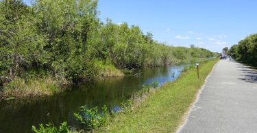 shark-valley-floride-article