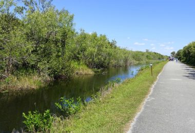 shark-valley-floride-article