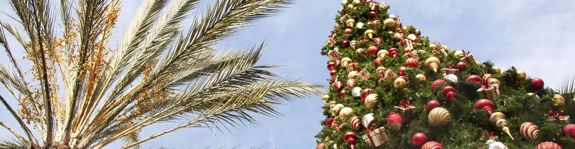 noel-immanquables-miami