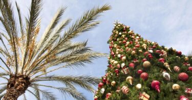 noel-immanquables-miami