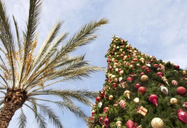 noel-immanquables-miami