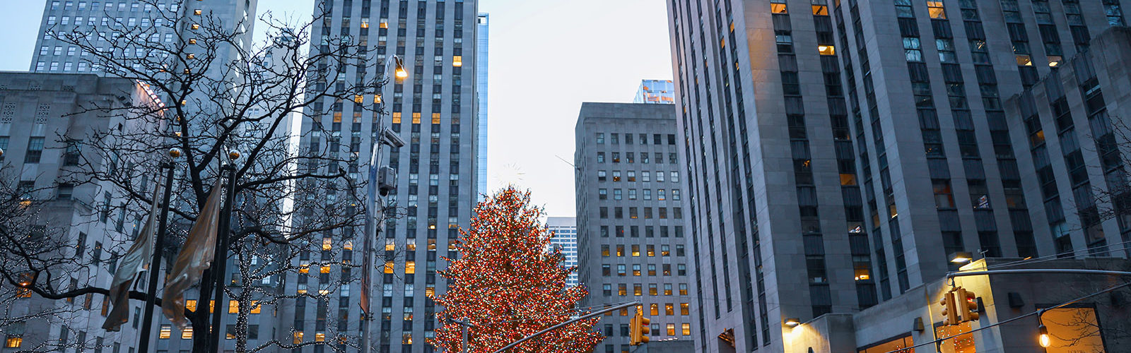 noel-new-york-city