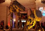 musee-histoire-naturelle-los-angeles-culture-sortie-weekend-visite-une