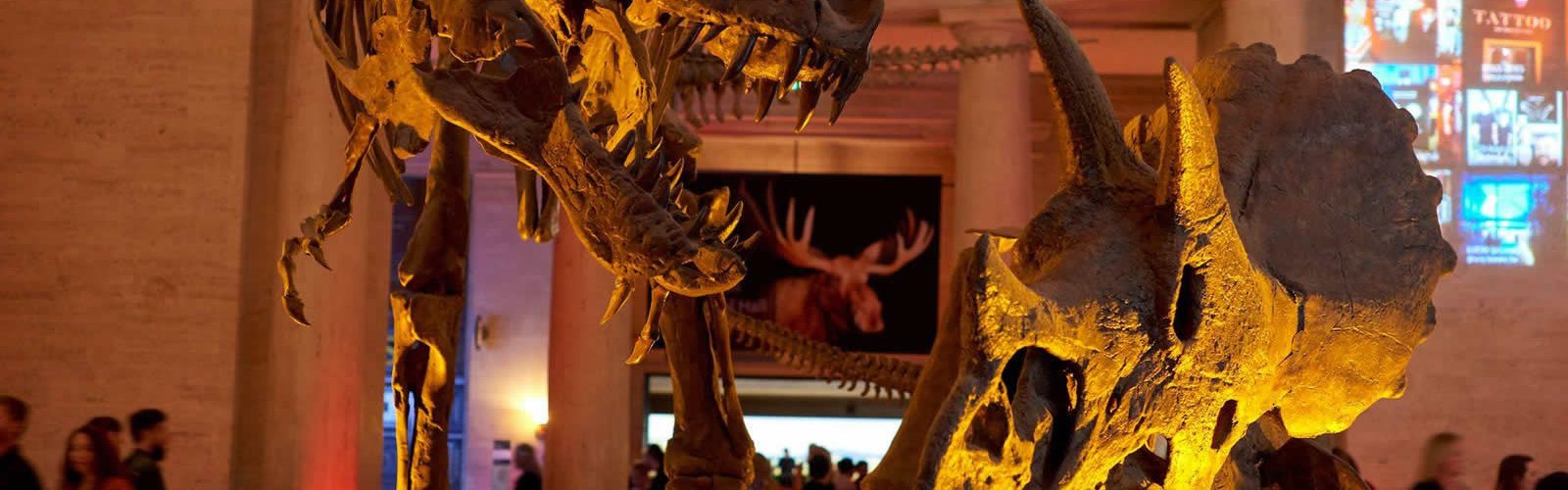 musee-histoire-naturelle-los-angeles-culture-sortie-weekend-visite-une