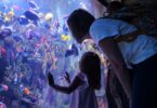 new-england-aquarium-boston-une