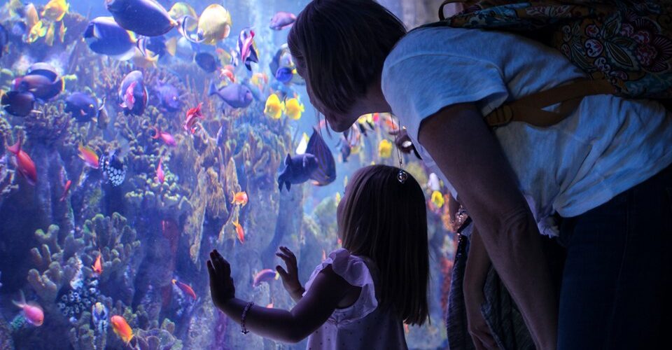 new-england-aquarium-boston-une