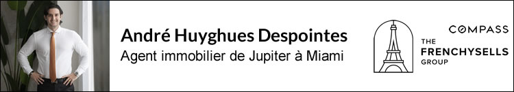 André Huyghues Despointes – Frenchysells Group