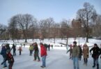 Patineurs sur la glace de Frog Pond, au Boston Common, sous un ciel bleu d'hiver, avec des arbres dénudés et de la neige autour